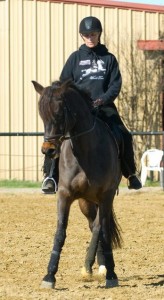 Joan performing half Pass on horse