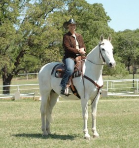 Andalusian Western Dressage