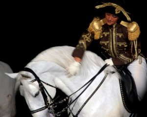 Joan in Lipizzaner Stallion Show