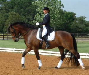 Dressage Show